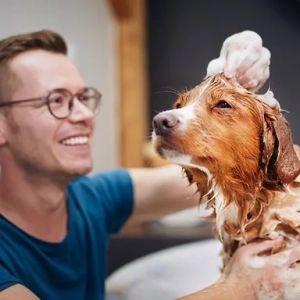 A man smiling while his dog enjoys a bath with DOUXO shampoo