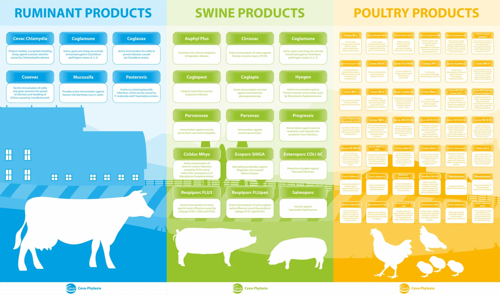 English Philaxia Product List