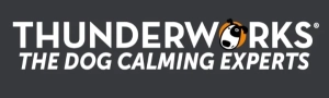 Thunderworks Ceva logo