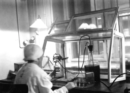 1913 Phylaxia worker
