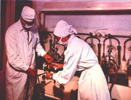 1966 Phylaxia
