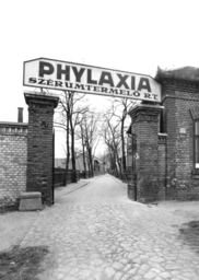 1912 Phylaxia