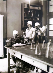 1924 Phylaxia