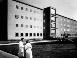 1948 Phylaxia